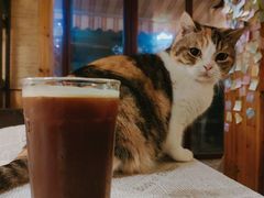 美式-隅cafe(傅厚岗店)