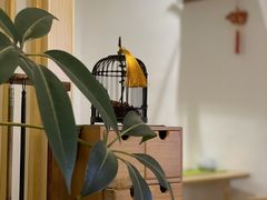 -茶庐(百花洲路店)