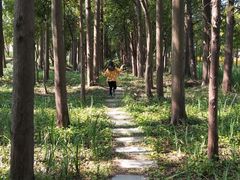 -上海长兴岛郊野公园