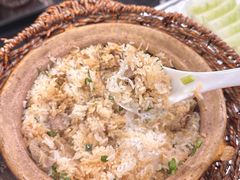 -百利鸽王(紫薇路店)