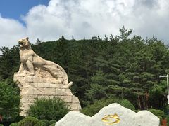 -帽儿山国家森林公园