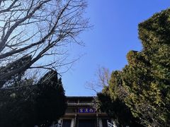 -龙口南山旅游景区