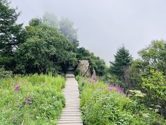 -白草畔自然风景区