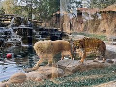 -北京野生动物园