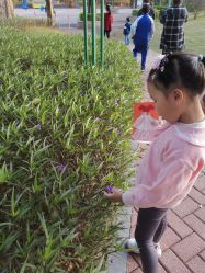 -深圳市儿童乐园