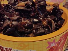 -龍歌自助小火锅(李沧丽达店)
