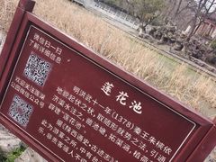 -莲湖公园