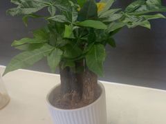 -鹿栖(佛山季华园店)