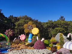 -上海共青森林公园