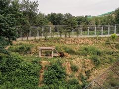 -石家庄市动物园