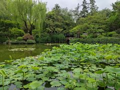 -秋霞圃