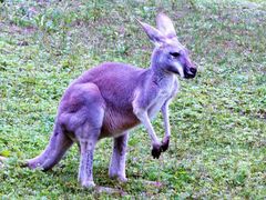 -西安秦岭野生动物园