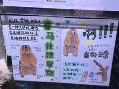 -正佳雨林生态植物园