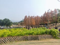 -牛岗山公园