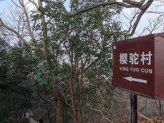 -紫金山山顶公园