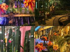 -正佳雨林生态植物园