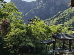 -齐王寨景区