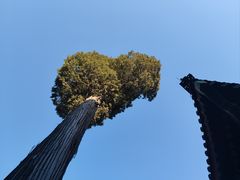 -恭王府博物馆