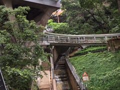 -香港大学