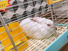 -映像威海·海鲜味道(市区店)