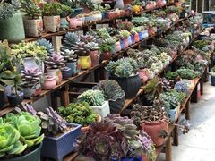 -旧屋咖啡(海景店)