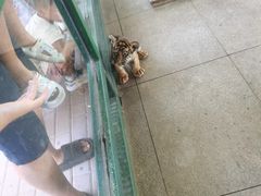 -秦皇岛野生动物园