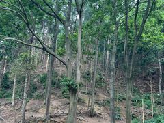 -黔灵山公园
