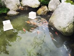 -醉香隆.山水庭院.湖北菜(东湖店)