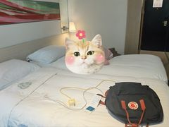 -香港皇家太平洋酒店