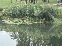 -四海公园(南山区)