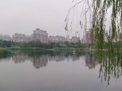 -武汉园博园(武汉自然博物馆)