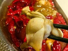 -麻田会 ·鲜活现烹·牛蛙火锅(珠江新城维家思广场店)