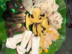 -钢管厂五区小郡肝串串香火锅(梅川路店)