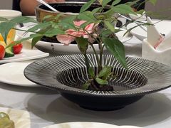 -上海精菜馆(虎踞关店)