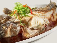 清蒸石斑鱼-金家港海鲜大排档(中山路店)
