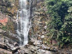 -鼎香皇高佬苏裹蒸粽