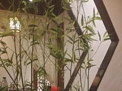 -泰山廊亦舫(丽景店)