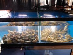 水产区-唐拉雅秀酒店-西锦汇空中BBQ·思创餐厅