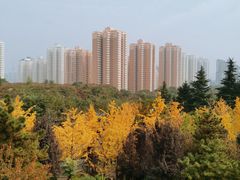 -清凉寺