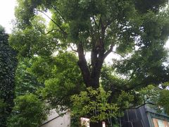 -徐家汇源景区-衡山坊