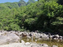 -秦岭风景区
