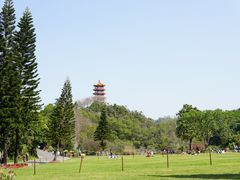 -深圳仙湖植物园