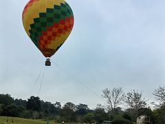 -中国科学院西双版纳热带植物园