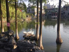 -东莞市可园博物馆