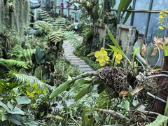 -东莞植物园
