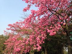 iphone_upload_pic-广州大学(桂花岗校区)