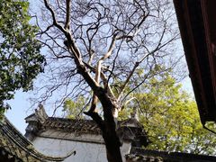 -东山雕花楼