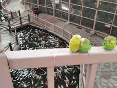 -南宫五洲植物乐园