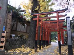 -上野公园花园稻荷神社(忍岡稲荷神社)