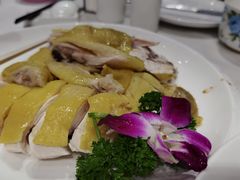 -品泉餐厅·大盆鱼·走地鸡